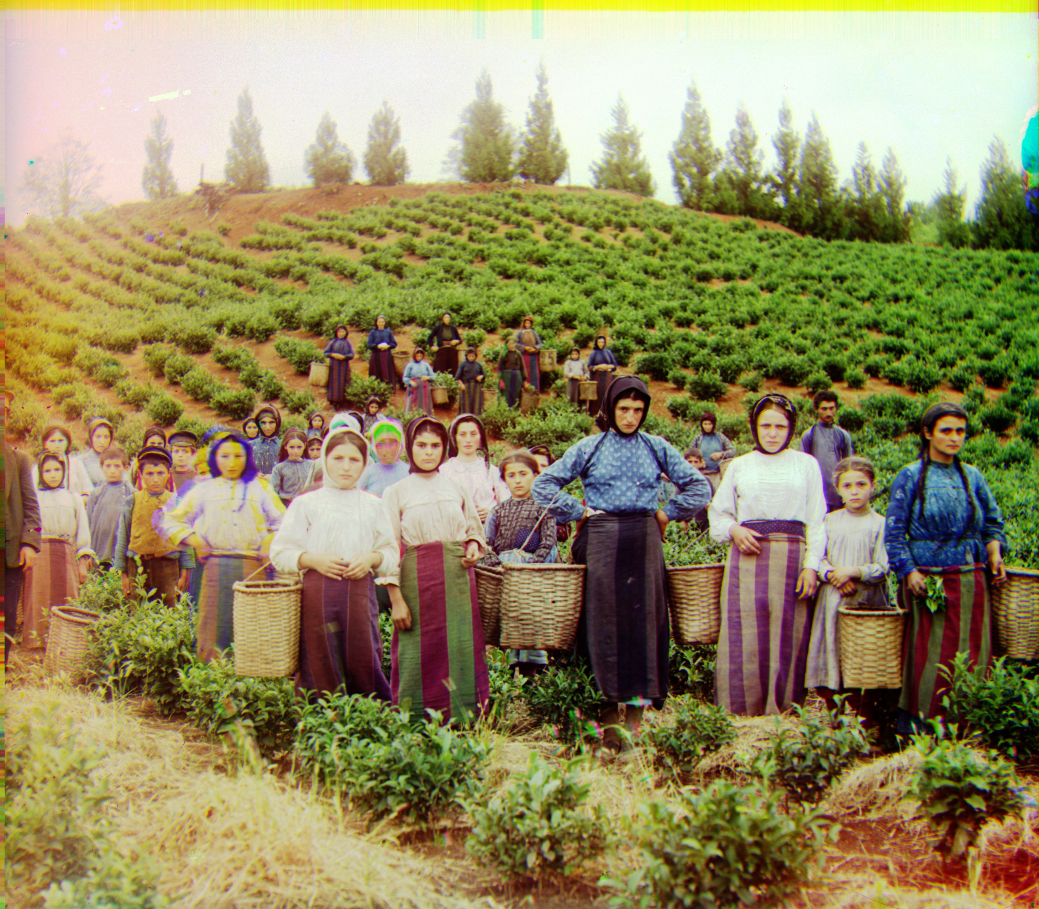 hist_equal of harvesters