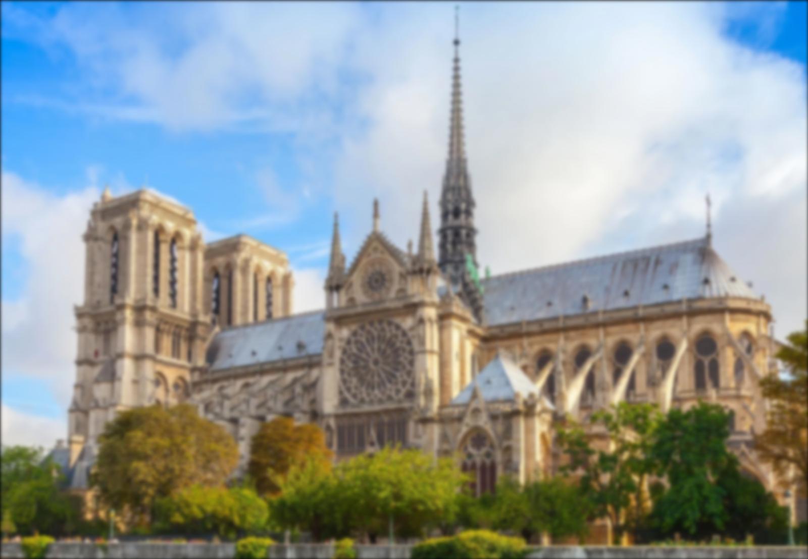 blurred image of notre-dame