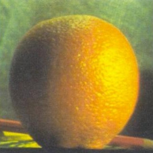 image of orange