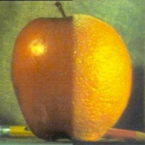 blended image of orange and apple