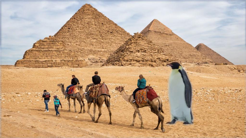 blended image of penguin and pyramid